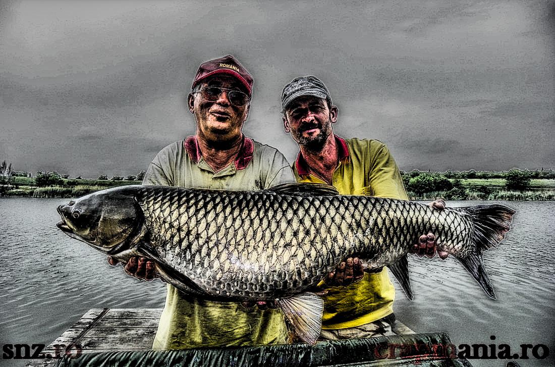 Crapmania (3) - 2013 - 1010449-2hdrmode2.JPG